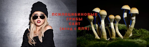 ПСИЛОЦИБИНОВЫЕ ГРИБЫ Балабаново