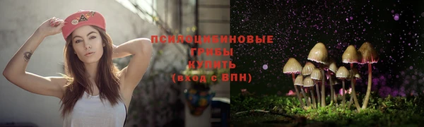 амф Балахна