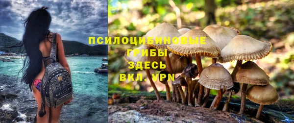 ПСИЛОЦИБИНОВЫЕ ГРИБЫ Балабаново