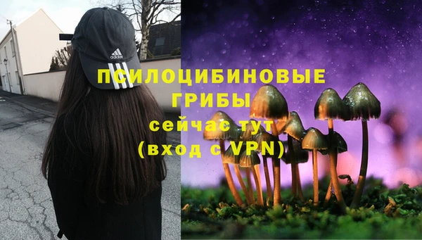 ПСИЛОЦИБИНОВЫЕ ГРИБЫ Балабаново